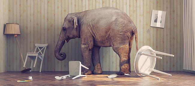 Businesses can't afford to ignore mobile visitors.